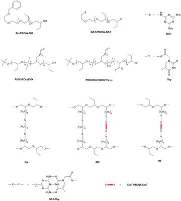 Constraining effects on polymer chain relaxation in crosslinked supramolecular dual networks